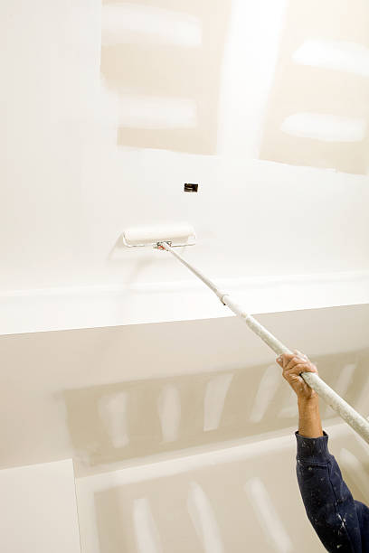 Reliable Clayton, AL Mold Removal Solutions